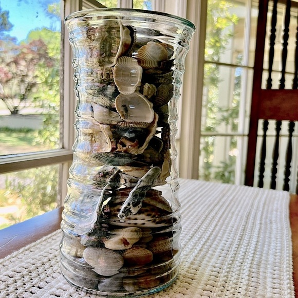 Waves Vase of Seashells Beach Coastal Decor - Picture 1 of 3